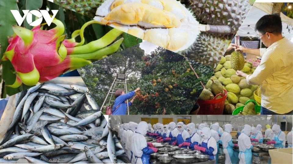 Seven-month exports hit US$262 billion, exceeding expectations